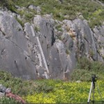 Kaparelli Fault, Greece