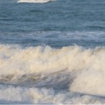Wave featured