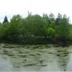 The Saale loop at Ziegenrück, Germany. More interesting than the algae blossom is the huge fold behind me (not visible in the image), known as the famous Ziegenrück Fold. I will post something on that next week, probably., so keep on reading..