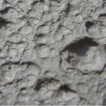 fossil raindrops