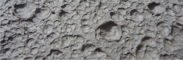 fossil raindrops