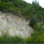 Roadcut outcrop of the Kalamos Fault